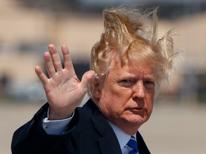 Trump Meme 2